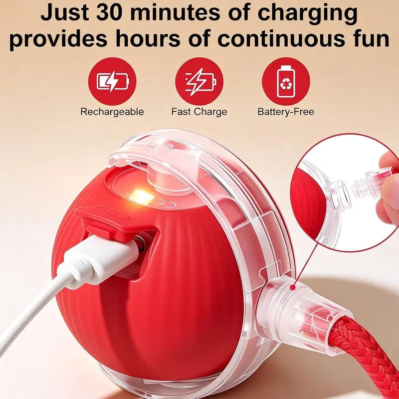 Interactive USB-Rechargeable Smart Rolling Cat Toy Ball - Light-Up, Adjustable Quiet Mode, Bite-Resistant, Shatterproof, Non-Toxic, Replaceable Wavy-Texture Shell, 8-Color Indoor Hunting Toy with Bird Sound and Automatic Movement