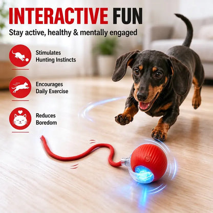 Interactive USB-Rechargeable Smart Rolling Cat Toy Ball - Light-Up, Adjustable Quiet Mode, Bite-Resistant, Shatterproof, Non-Toxic, Replaceable Wavy-Texture Shell, 8-Color Indoor Hunting Toy with Bird Sound and Automatic Movement